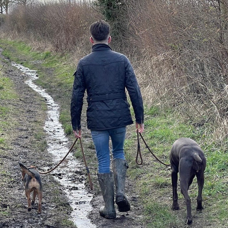 Dogs Walking to heel with handler